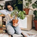 Low Light Indoor Plants