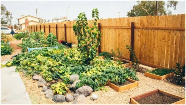 Choosing the Right Spot