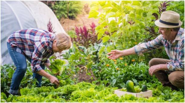 Essential Maintenance Tips